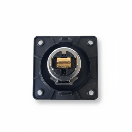 Berker 12V Socket- Anthracite