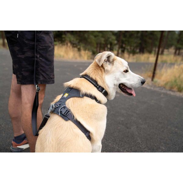 Ruffwear Front Range® Dog Harness in Basalt Grey