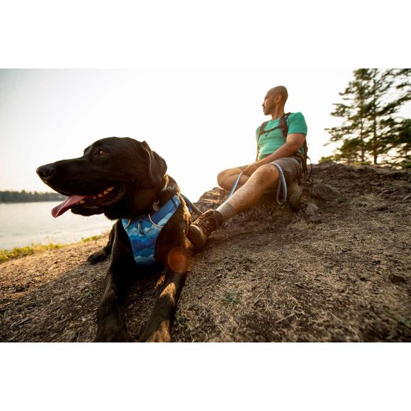 Ruffwear Front Range® Dog Harness - Coastal Mountains Print