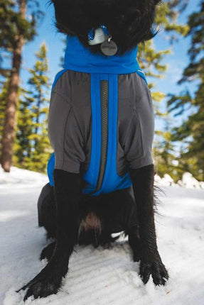 Ruffwear Vert™ Coverall Dog Snow Suit in Blue Pool