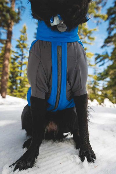 Ruffwear Vert™ Coverall Dog Snow Suit in Blue Pool