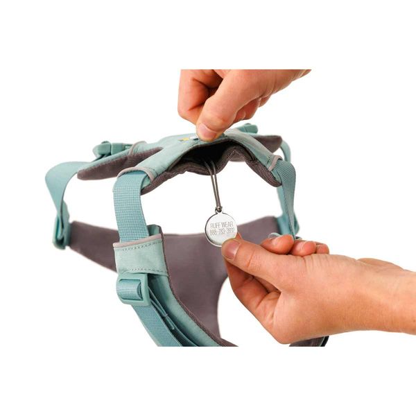 Ruffwear Front Range® Dog Harness in River Rock Green