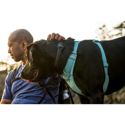 Ruffwear Front Range® Dog Harness in River Rock Green