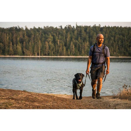 Ruffwear Front Range® Dog Harness in River Rock Green