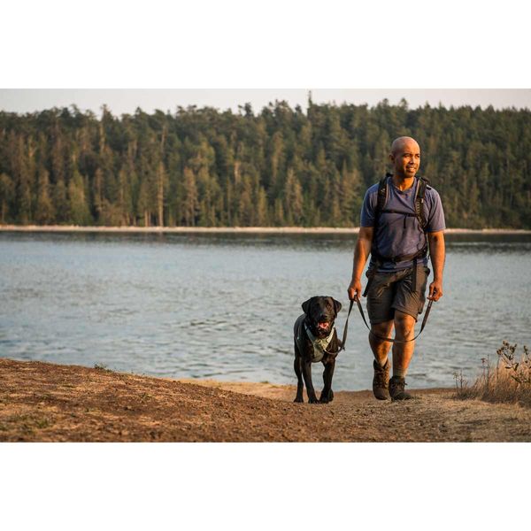 Ruffwear Front Range® Dog Harness in River Rock Green