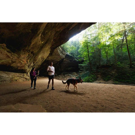 Ruffwear Front Range® Dog Harness in Red Canyon