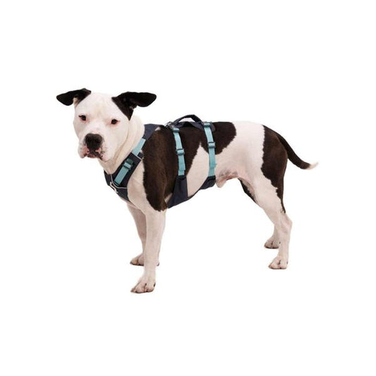 Ruffwear Flagline™ Dog Harness with Handle in Basalt Grey