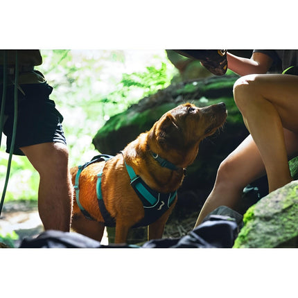 Ruffwear Flagline™ Dog Harness with Handle in Basalt Grey