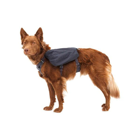 Ruffwear Front Range™ Dog Day Pack in Basalt Grey