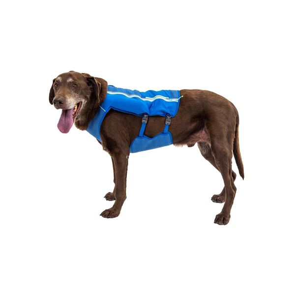 Ruffwear Trail Runner™ Dog Running Vest in Blue Pool