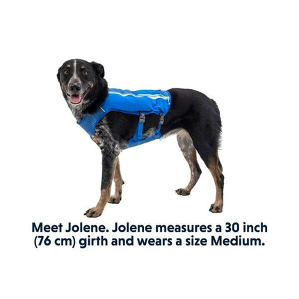 Ruffwear Trail Runner™ Dog Running Vest in Blue Pool