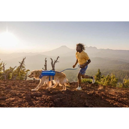 Ruffwear Trail Runner™ Dog Running Vest in Blue Pool