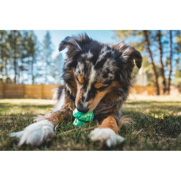 Ruffwear Toadstool™ Dog Toy in Moss Green (One Size)