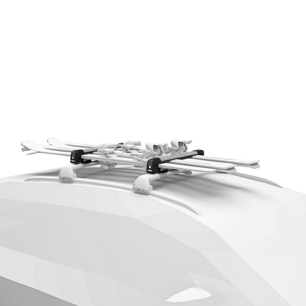 Thule SnowPack M (Aluminium)