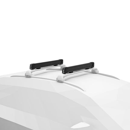 Thule SnowPack L