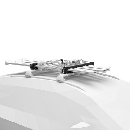 Thule SnowPack L