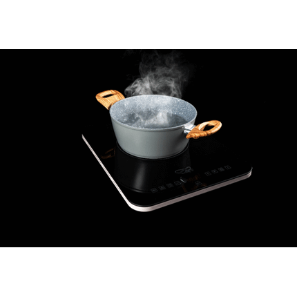 CAN Portable single burner induction hob