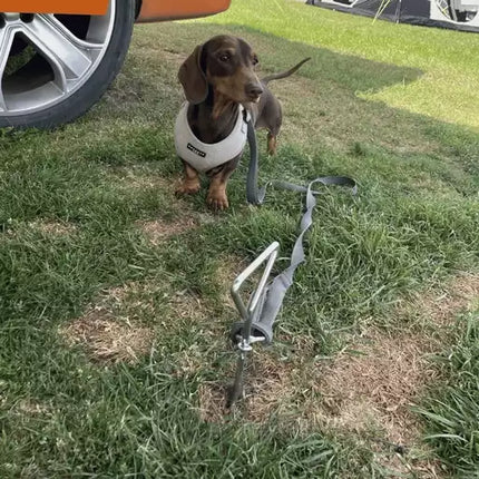 Olpro Dog Tie Down Anchor