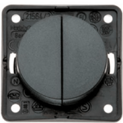 Berker Double Rocker Switch - Anthracite