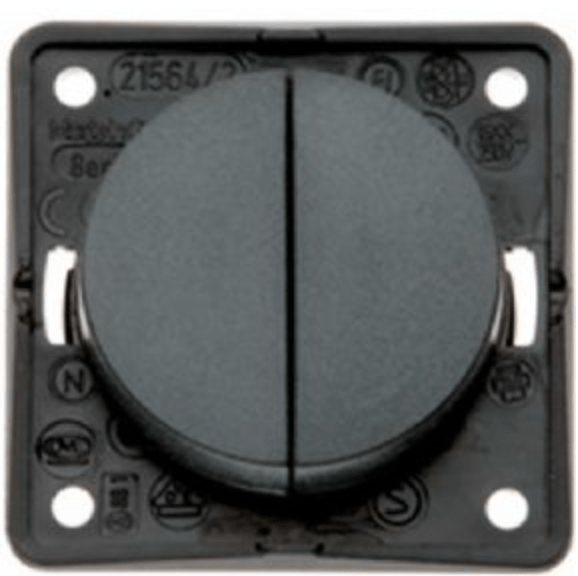 Berker Double Rocker Switch - Anthracite