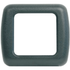 Single frame standard Grey