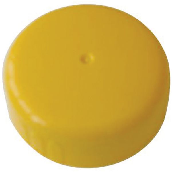 Thetford Dump Cap - Letang Auto Electrical Vehicle Parts